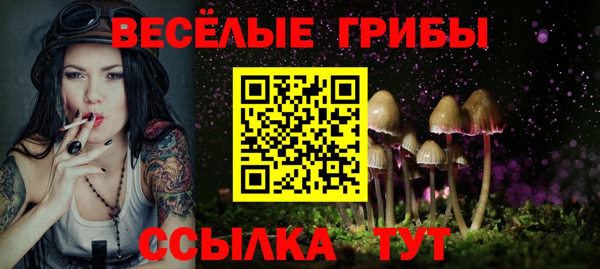 Галлюциногенные грибы прущие грибы Звенигород