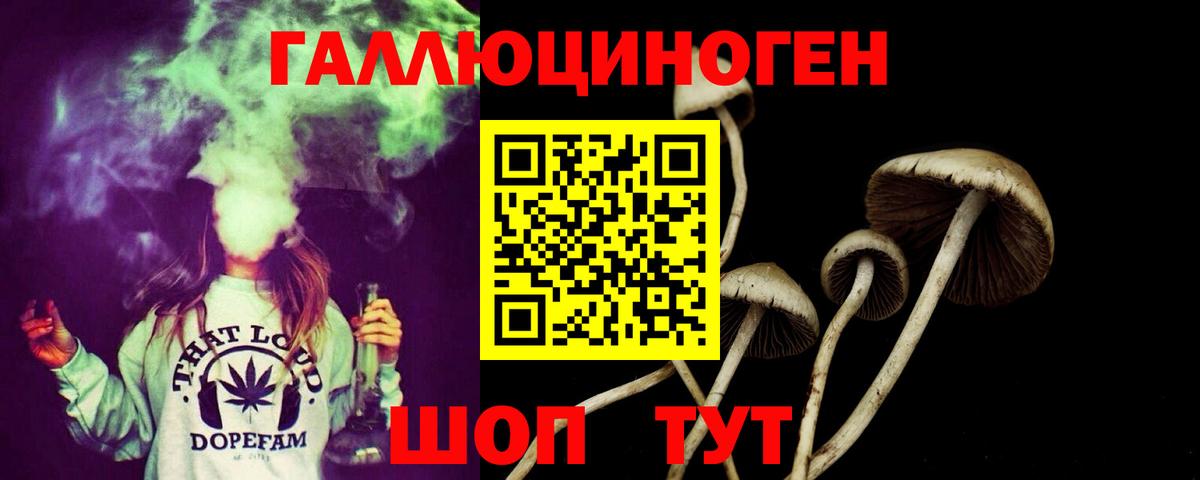 Звенигород  Псилоцибиновые грибы Cubensis  Вход с VPN 